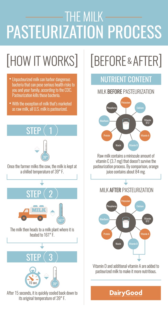 Raw Milk vs. Pasteurized: This is What Happens When You Don't